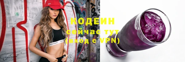 спиды Бородино