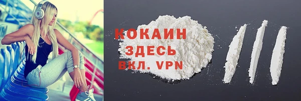 твердый Верхний Тагил