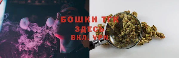 спиды Бородино