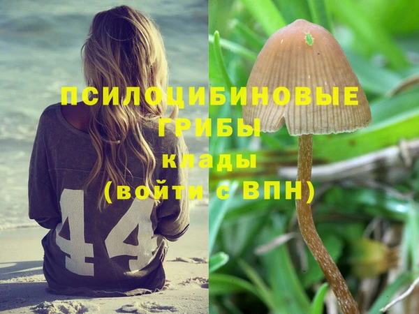 не бодяженный Бронницы