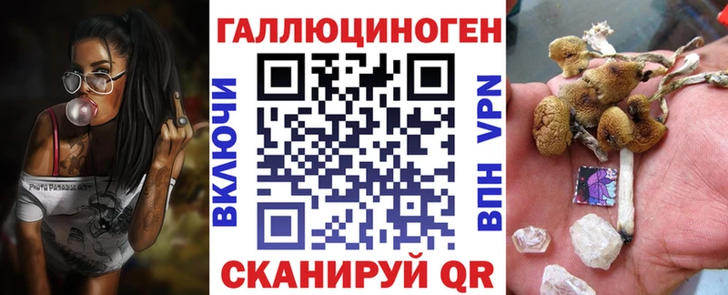 Галлюциногенные грибы Psilocybine cubensis где купить наркоту Севастополь